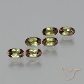 Gemas de andalucita Multicolor natural de 1.64 ct, Ovalada, VS
