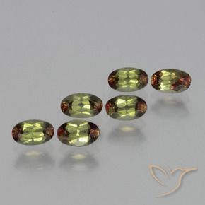Gemas de andalucita Multicolor natural de 1.68 ct, Ovalada, VS