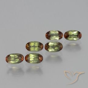 Gemas de andalucita Multicolor natural de 1.69 ct, Ovalada, VS
