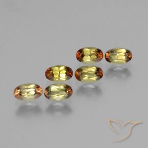 Gemas de andalucita Multicolor natural de 1.66 ct, Ovalada, VS