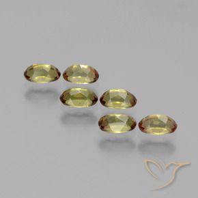 Gemas de andalucita Multicolor natural de 1.66 ct, Ovalada, VS