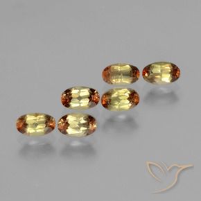 Gemas de andalucita Multicolor natural de 1.70 ct, Ovalada, VS