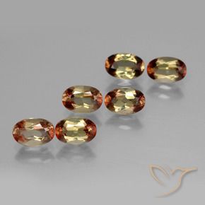 Gemas de andalucita Multicolor natural de 2.95 ct, Ovalada, VS