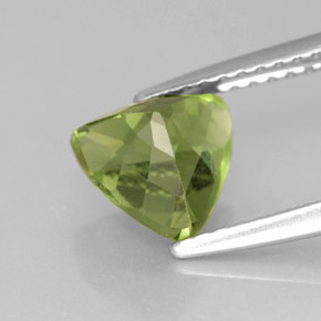Apatita verde natural de 1,61 ct, trillón, VS