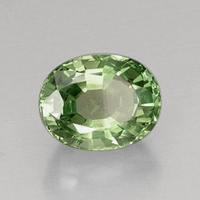 Apatita verde natural de 7,67 ct, corte óvalo, VVS-VS