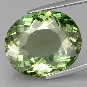 Apatita verde natural de 24,47 ct, corte óvalo, VVS-VS