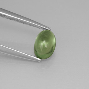 Apatita verde natural de 0,63 ct, corte óvalo, transparente