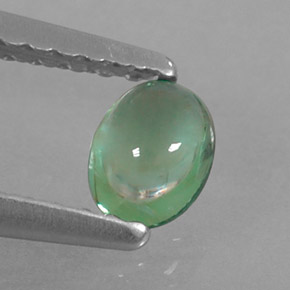 Apatita verde natural de 0,33 ct, corte óvalo, transparente