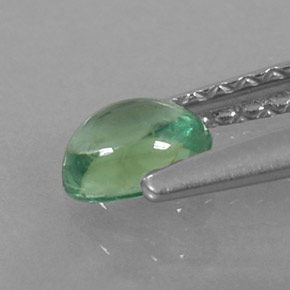 Apatita verde natural de 0,33 ct, corte óvalo, transparente