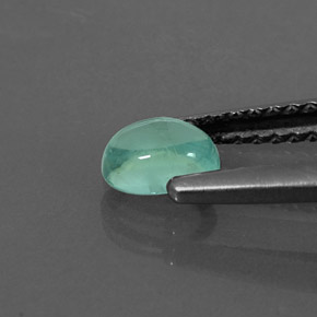 Apatita verde natural de 0,47 ct, corte óvalo, transparente