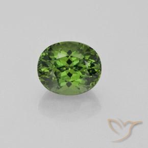 Apatito Verde bosque natural de 4.92 ct, Corte Óvalo, VS