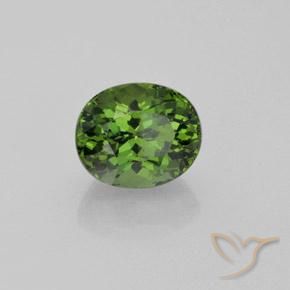 Apatito Verde bosque natural de 4.92 ct, Corte Óvalo, VS