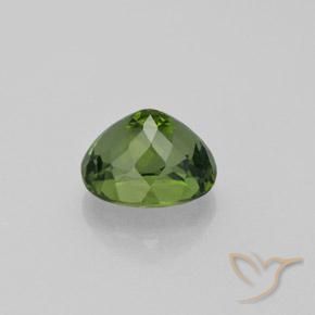 Apatito Verde bosque natural de 4.92 ct, Corte Óvalo, VS
