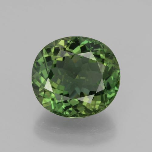 Apatita verde natural de 6,01 ct, corte óvalo, VVS-VS