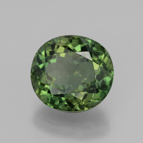 Apatita verde natural de 6,01 ct, corte óvalo, VVS-VS