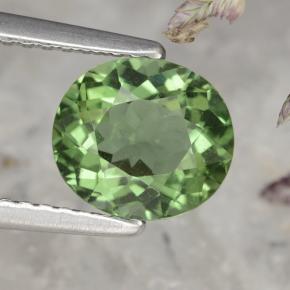 Apatita verde natural de 1,58 ct, corte óvalo, VS