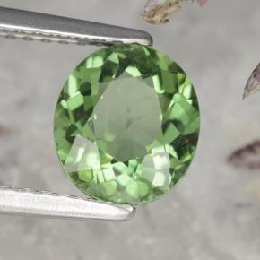 Apatita verde natural de 1,58 ct, corte óvalo, VS