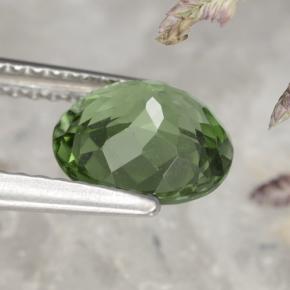 Apatita verde natural de 1,58 ct, corte óvalo, VS