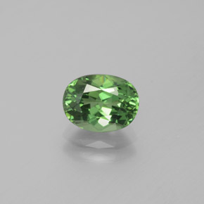 Apatita verde natural de 1,69 ct, corte óvalo, VVS-VS