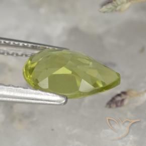 Apatito Verde bosque cálido natural de 1.40 ct, En forma de pera, VS
