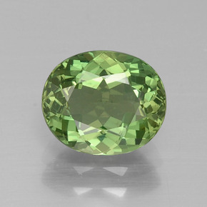 Apatita verde natural de 1,74 ct, corte óvalo, VS