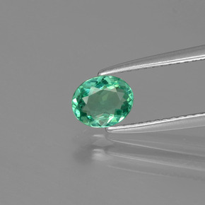 Apatito Verde natural de 0.59 ct, Corte Óvalo, VVS-VS