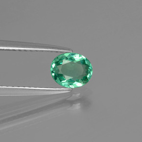 Apatito Verde natural de 0.59 ct, Corte Óvalo, VVS-VS