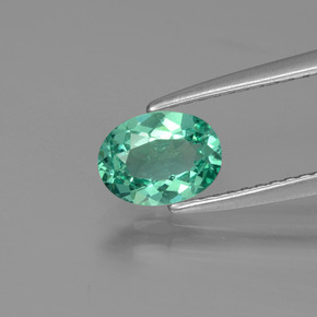 Apatita verde natural de 0,77 ct, corte óvalo, VS