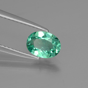 Apatita verde natural de 0,77 ct, corte óvalo, VS