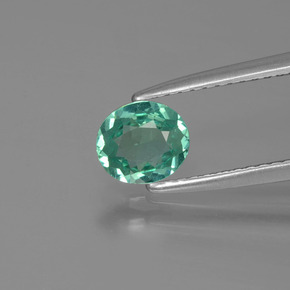 Apatita verde natural de 0,62 ct, corte óvalo, VVS-VS