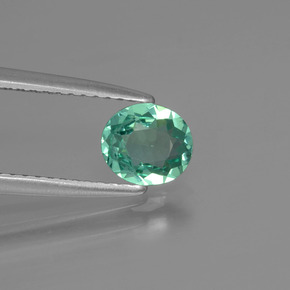 Apatita verde natural de 0,62 ct, corte óvalo, VVS-VS