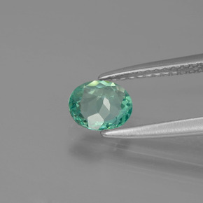 Apatita verde natural de 0,62 ct, corte óvalo, VVS-VS