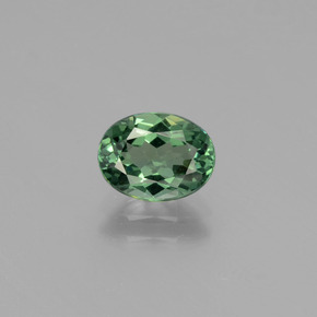 Apatita verde natural de 1,18 ct, corte óvalo, VVS-VS