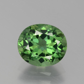 Apatita verde natural de 1,72 ct, corte óvalo, VS