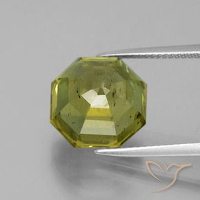 Apatito Verde bosque cálido natural de 11.16 ct, Corte Octágono / Esmeralda, VS-SI