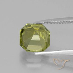 Apatito Verde bosque cálido natural de 2.61 ct, Corte Octágono / Esmeralda, VS