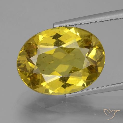 7.27ct Natural Amarillo otoño Apatito, Ovalada, VS