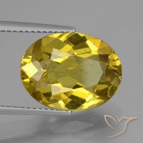 Apatito Amarillo otoño natural de 7.27 ct, Ovalada, VS