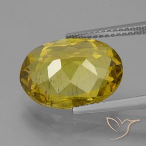 Apatito Amarillo otoño natural de 7.27 ct, Ovalada, VS