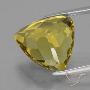 Apatito Amarillo otoño natural de 8.95 ct, Trillón, VS