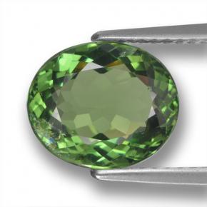 Apatita verde natural de 3,12 ct, corte óvalo, VS-SI