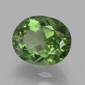 Apatita verde natural de 2,62 ct, corte óvalo, VS-SI