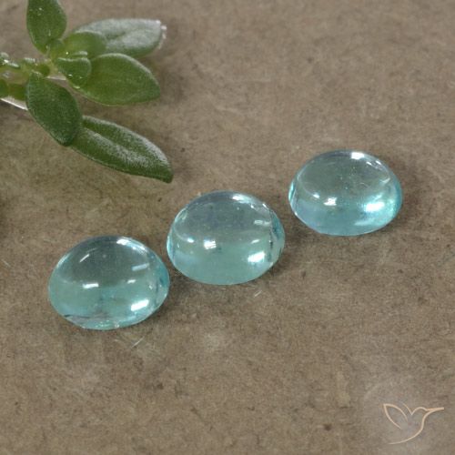 1.10ctw Natural Tono azul eléctrico Apatito, Ovalada, Transparente