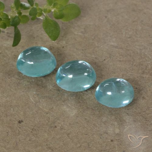 1.26ctw Natural Azul olímpico Apatito, Ovalada, Transparente