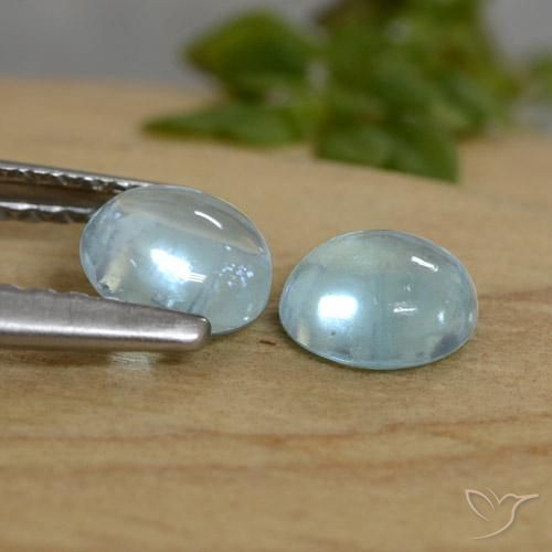 Gemas de Apatito Cerceta claro natural de 1.07 ct, Redondo, Transparente