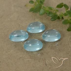 Gemas de Apatito Azul verdoso claro natural de 1.37 ct, Ovalada, Transparente