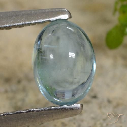 0.62ct Natural Cerceta claro Apatito, Ovalada, Transparente