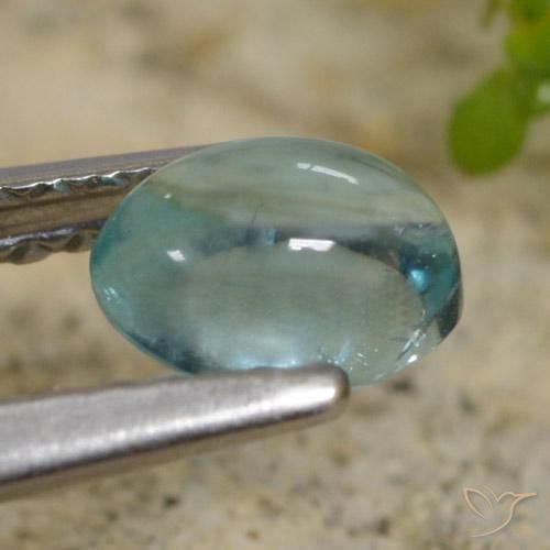 Apatito Cerceta claro natural de 0.62 ct, Ovalada, Transparente