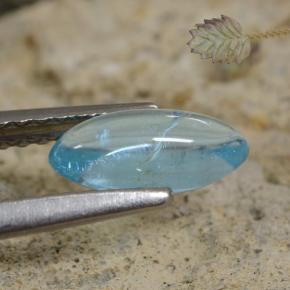 Apatita cerceta claro natural de 0,75 ct, marquesa, transparente