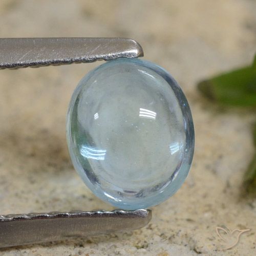 0.74ct Natural Cerceta claro Apatito, Ovalada, Transparente